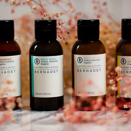 Bernadet 阿拉恰特