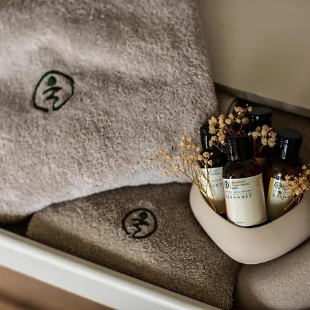 Bernadet 酒店 阿拉恰特