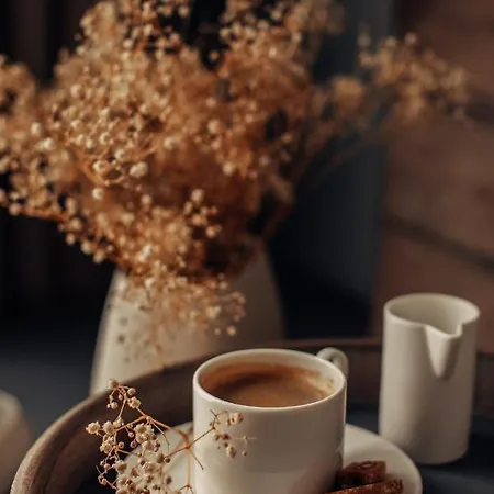 酒店 Bernadet 阿拉恰特